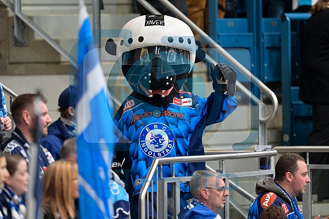 Eishockey, Herren, DEL, Saison 2025-2026, Spiel 22, ERC Ingolstadt - Eisbären Berlin, 26.11.2025