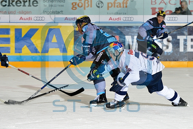 ERC Ingolstadt vs EHC Red Bull München, Eishockey, DEL, Deutsche Eishockey Liga, Spieltag 16, 13.11.2016