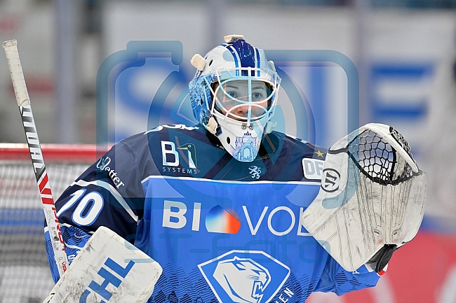 Eishockey, Frauen, DFEL, Saison 2023-2024, ERC Ingolstadt - ESC Planegg-Würmtal, 26.11.2023