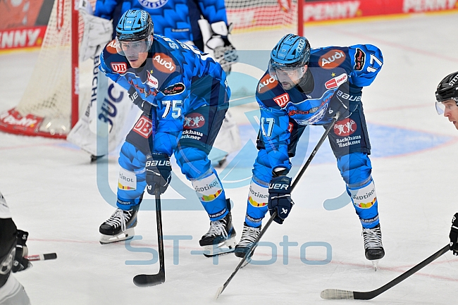 Eishockey, Herren, DEL, Saison 2025-2026, Spiel 16, ERC Ingolstadt - Kölner Haie, 31.10.2025