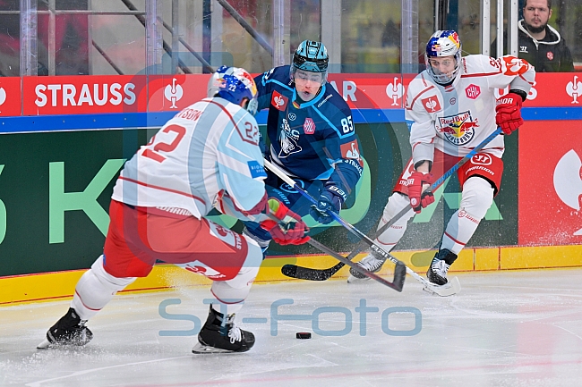 Hockey, Mens, CHL, Season 2025-2026, Regular Season, Round of 16, ERC Ingolstadt - EC Red Bull Salzburg, 12.11.2025