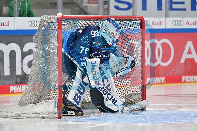 Eishockey, Frauen, DFEL, Saison 2024-2025, ERC Ingolstadt - EC Bergkamener Bären, 12.10.2024