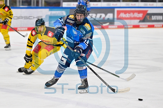 Eishockey, U20, DNL, Saison 2024-2025, ERC Ingolstadt - Krefelder EV 81, 01.03.2025