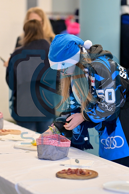 Eishockey, Herren, DEL, Saison 2025-2026, Spiel 43, ERC Ingolstadt - Schwenninger Wild Wings, 25.01.2026