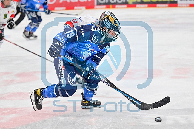 Eishockey, Frauen, DFEL, Saison 2023-2024, ERC Ingolstadt - ECDC Memmingen Indians, 07.10.2023