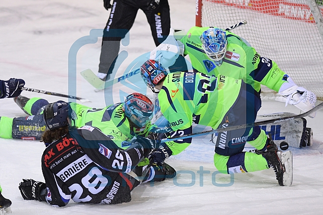 Eishockey, Herren, DEL, Saison 2020-2021, Straubing Tigers - ERC Ingolstadt, 31.01.2021