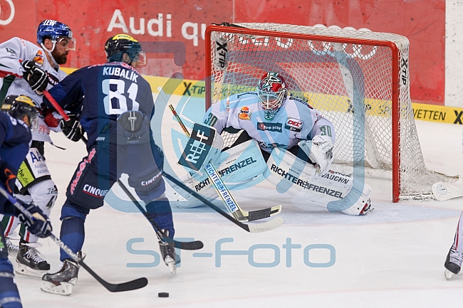 ERC Ingolstadt vs Augsburger Panther, Eishockey, DEL, Deutsche Eishockey Liga, Spieltag 2, 13.09.2015
