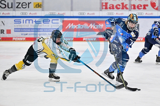Eishockey, Frauen, DFEL, Saison 2023-2024, ERC Ingolstadt - Mad Dogs Mannheim, 18.02.2024
