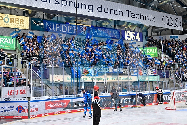 Eishockey, Herren, DEL, Saison 2025-2026, Spiel 7, ERC Ingolstadt - Straubing Tigers, 03.10.2025