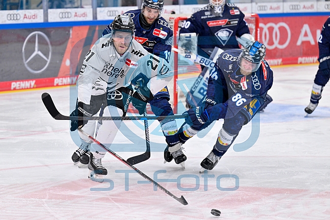Eishockey, Herren, DEL, Saison 2024-2025, Playoffs Halbfinale, Spiel 5, ERC Ingolstadt - Kölner Haie, 11.04.2025