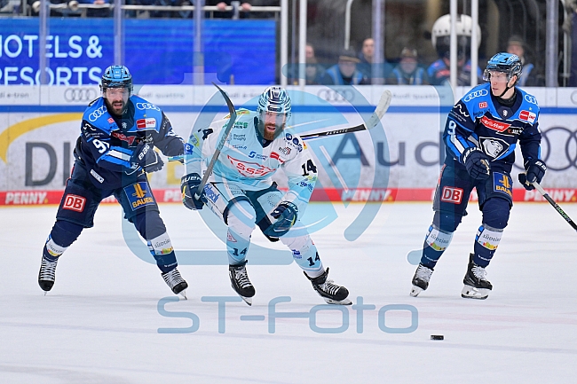 Eishockey, Herren, DEL, Saison 2025-2026, Spiel 44, ERC Ingolstadt - Dresdner Eislöwen, 27.01.2026
