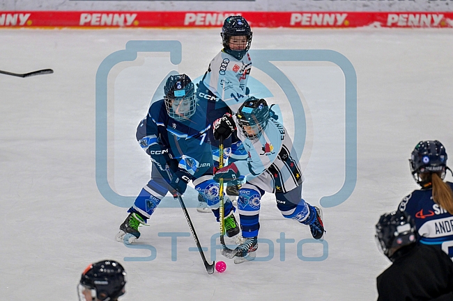 Eishockey, Herren, DEL, Saison 2024-2025, ERC Ingolstadt - Kids On Ice Day, 11.01.2025