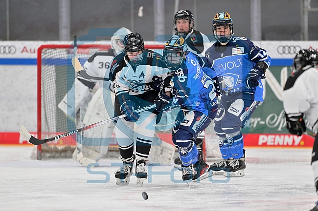 Eishockey, Frauen, DFEL, Saison 2023-2024, ERC Ingolstadt - Amsterdam Tigers, 06.01.2024