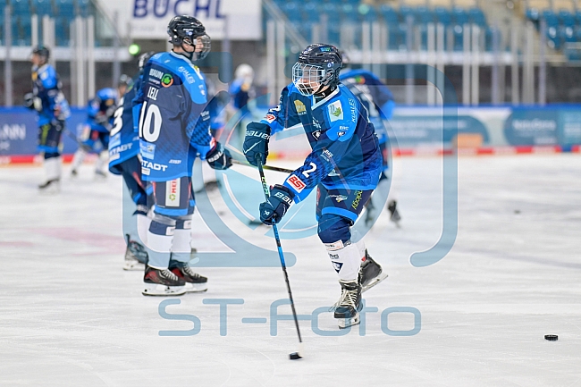 Eishockey, Herren, U20 DNL, Saison 2025-2026, ERC Ingolstadt - Jungadler Mannheim, 24.01.2026