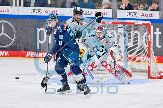 Eishockey, Herren, DEL, Saison 2024-2025, Playoffs Halbfinale, Spiel 1, ERC Ingolstadt - Kölner Haie, 02.04.2025