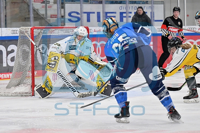 Eishockey, Frauen, DFEL, Saison 2023-2024, ERC Ingolstadt - Mad Dogs Mannheim, 18.02.2024