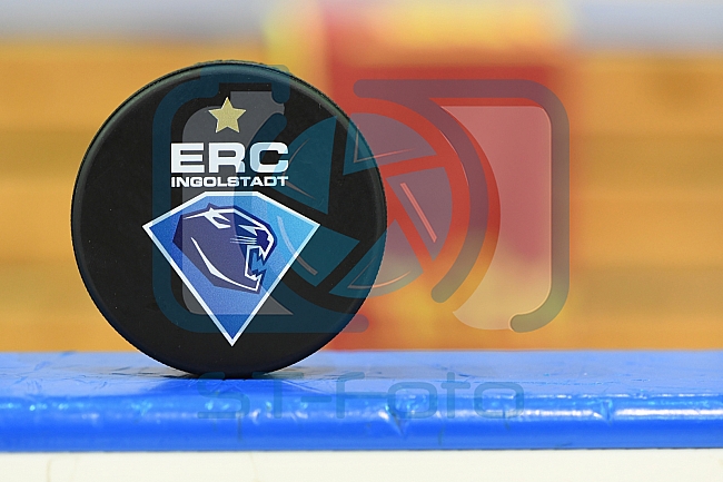 ERC Ingolstadt vs Adler Mannheim, Eishockey, DEL, Deutsche Eishockey Liga, Spieltag 46, 10.02.2017