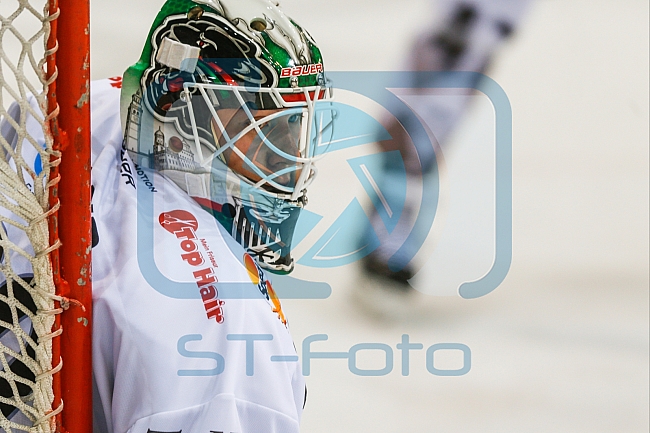 ERC Ingolstadt vs Augsburger Panther, Eishockey, DEL, Deutsche Eishockey Liga, Spieltag 21, 23.11.2016