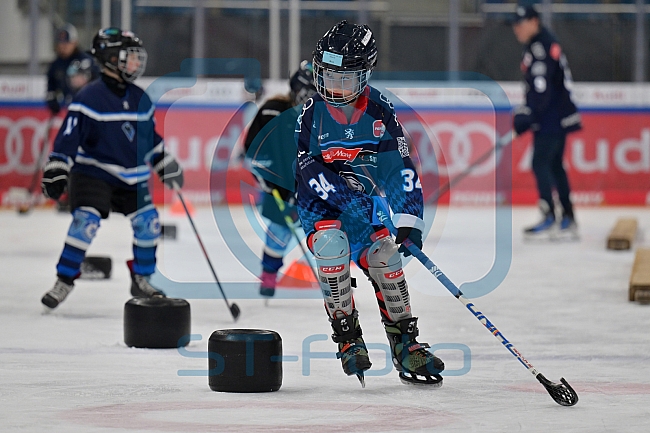 Eishockey, Herren, DEL, Saison 2024-2025, ERC Ingolstadt - Kids On Ice Day, 11.01.2025