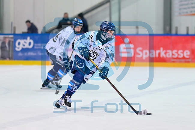 Eishockey, Frauen, DFEL, Saison 2025-2026, Playoffs Halbfinale - Spiel 2, ERC Ingolstadt - HC Davos, 01.03.2026