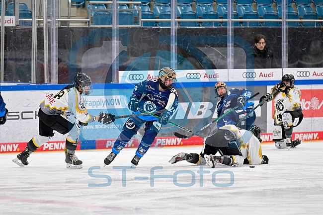 Eishockey, Frauen, DFEL, Saison 2024-2025, ERC Ingolstadt - Mad Dogs Mannheim, 23.11.2024
