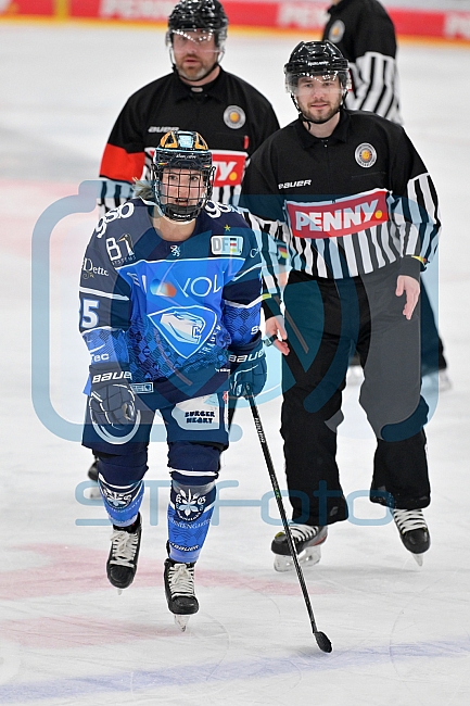 Eishockey, Frauen, DFEL, Saison 2023-2024, ERC Ingolstadt - ESC Planegg-Würmtal, 26.11.2023