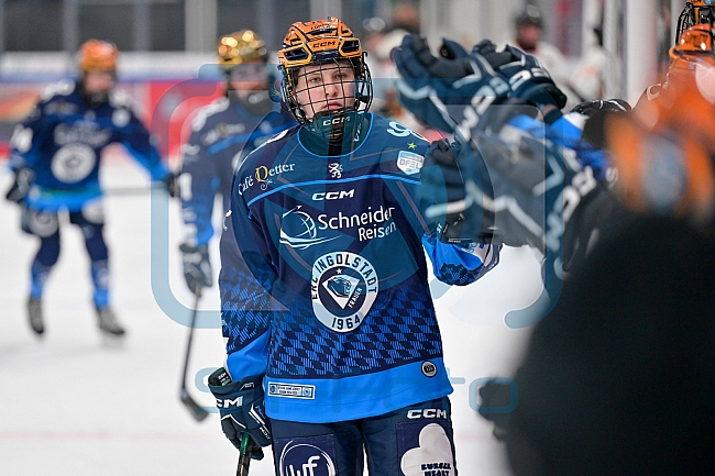 Eishockey, Frauen, DFEL, Saison 2024-2025, ERC Ingolstadt - EC Bergkamener Bären, 04.01.2025