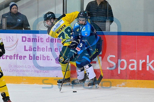 Eishockey, Herren, U20 DNL, Saison 2025-2026, Halbfinale - Spiel 2, ERC Ingolstadt - Krefelder EV 81, 15.03.2026