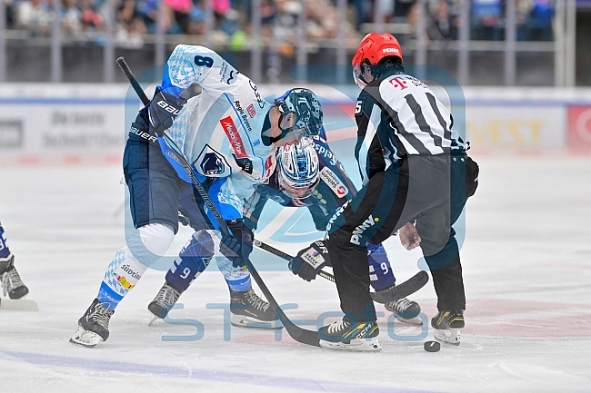 Eishockey, Herren, DEL, Saison 2024-2025, Vorbereitung, ERC Ingolstadt - Dresdner Eislöwen, 18.08.2024
