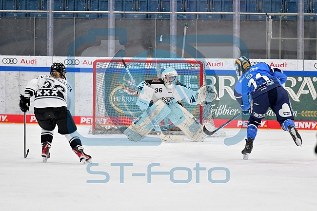 Eishockey, Frauen, DFEL, Saison 2023-2024, ERC Ingolstadt - Amsterdam Tigers, 06.01.2024