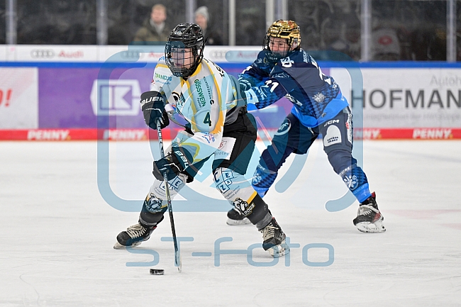 Eishockey, Frauen, DFEL, Saison 2024-2025, ERC Ingolstadt - Mad Dogs Mannheim, 23.11.2024