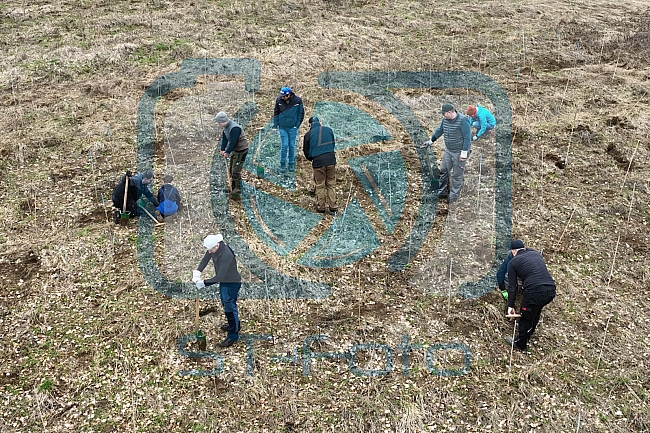 Eishockey, Herren, DEL, Saison 2023-2024, ERC Ingolstadt - Baumpflanzaktion, 03.03.2024