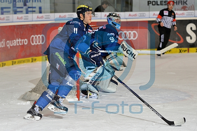 ERC Ingolstadt vs Hamburg Freezers, Eishockey, DEL, Deutsche Eishockey Liga, 10.01.2016