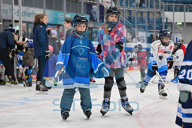 Eishockey, Herren, DEL, Saison 2024-2025, ERC Ingolstadt - Kids On Ice Day, 11.01.2025