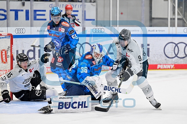 Eishockey, Herren, DEL, Saison 2025-2026, Spiel 16, ERC Ingolstadt - Kölner Haie, 31.10.2025