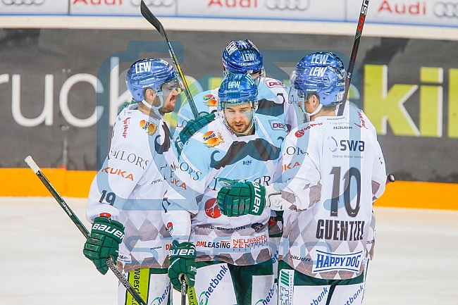 ERC Ingolstadt vs Augsburger Panther, Eishockey, DEL, Deutsche Eishockey Liga, Spieltag 21, 23.11.2016