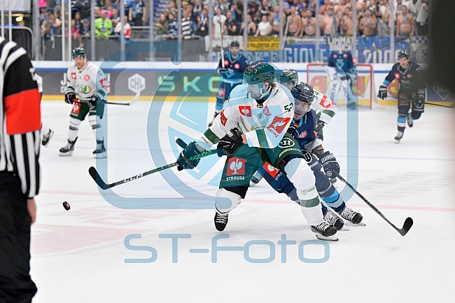 Eishockey, Mens, CHL, Season 2023-2024, ERC Ingolstadt - Färjestad Karlstad, 02.09.2023