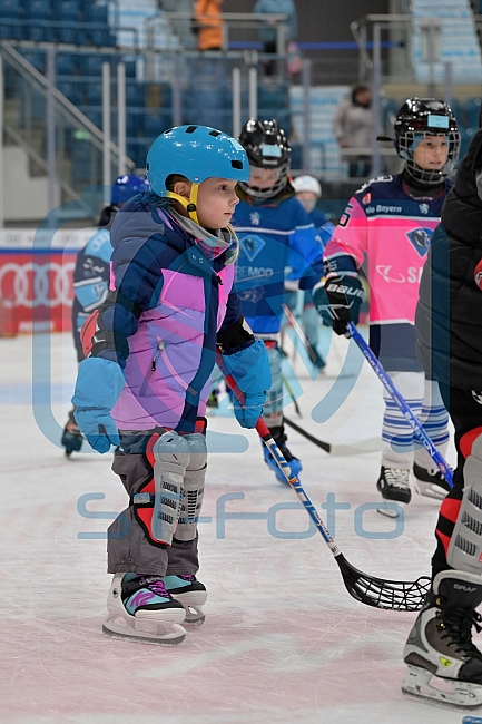 Eishockey, Herren, DEL, Saison 2024-2025, ERC Ingolstadt - Kids On Ice Day, 11.01.2025