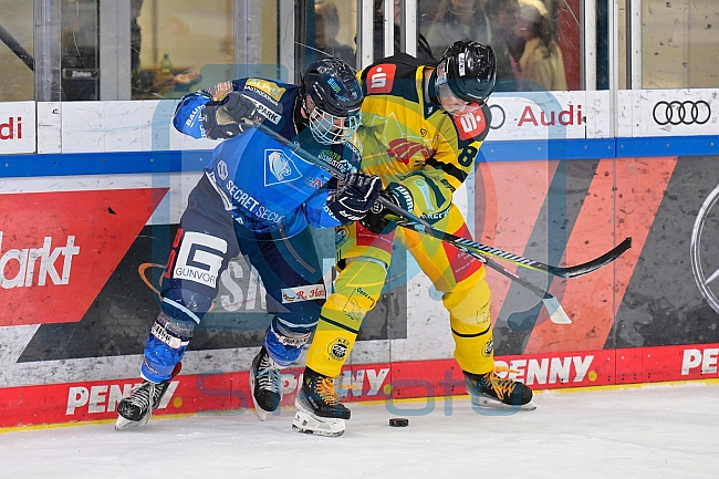 Eishockey, U20, DNL, Saison 2024-2025, ERC Ingolstadt - Krefelder EV 81, 01.03.2025