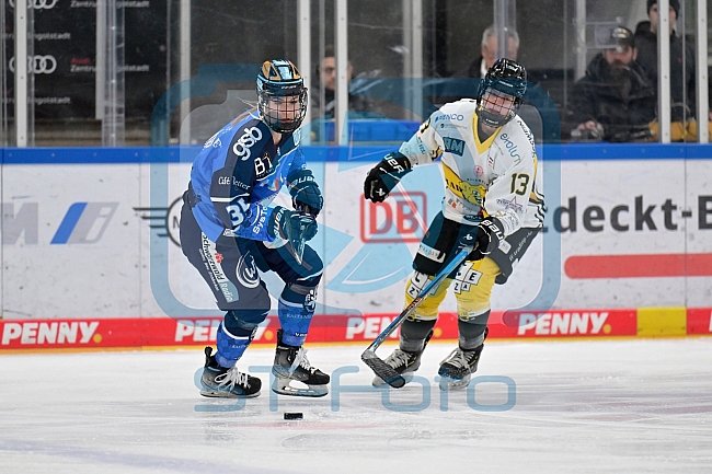 Eishockey, Frauen, DFEL, Saison 2023-2024, ERC Ingolstadt - Mad Dogs Mannheim, 18.02.2024