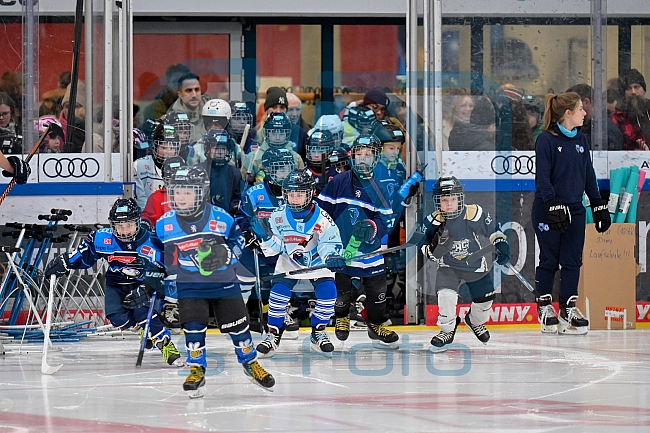 Eishockey, Saison 2025-2026, ERC Ingolstadt - Kids On Ice Day, 10.01.2026