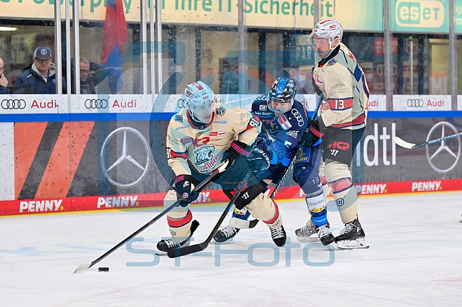 Eishockey, Herren, DEL, Saison 2024-2025, Playoffs Viertelfinale, Spiel 1, ERC Ingolstadt - Nürnberg Ice Tigers, 16.03.2025