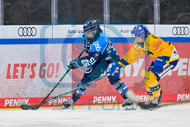 Eishockey, Frauen, DFEL, Saison 2025-2026, Testspiel, ERC Ingolstadt - HC Davos, 14.02.2026