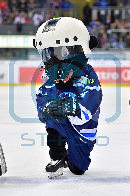 ERC Ingolstadt vs Koelner Haie, DEL, Deutsche Eishockey Liga, Spieltag 41, 20.01.2019
