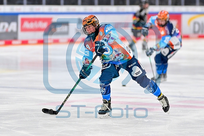 Eishockey, Frauen, DFEL, Saison 2024-2025, ERC Ingolstadt - EC Bergkamener Bären, 05.01.2025