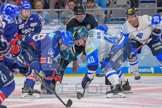Adler Mannheim vs ERC Ingolstadt, Eishockey, DEL, Deutsche Eishockey Liga, Spieltag 12, 19.10.2018
