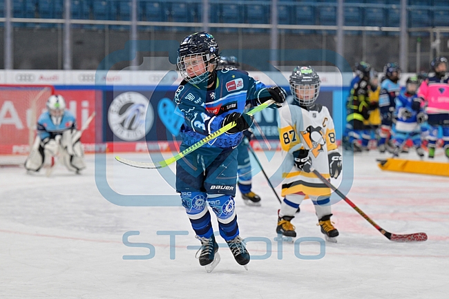 Eishockey, Herren, DEL, Saison 2023-2024, ERC Ingolstadt - Kids on Ice Day, 18.11.2023