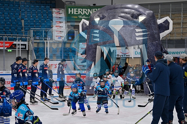 Eishockey, Herren, DEL, Saison 2024-2025, ERC Ingolstadt - Kids On Ice Day, 21.09.2024