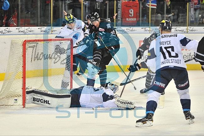 Thomas Sabo Ice Tigers vs ERC Ingolstadt, Eishockey, DEL, Deutsche Eishockey Liga, Spieltag 24, 02.12.2016