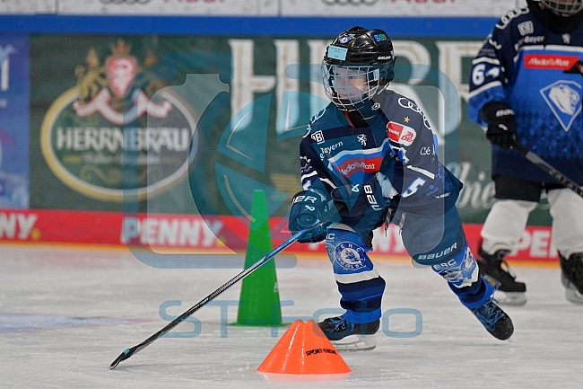 Eishockey, Herren, DEL, Saison 2024-2025, ERC Ingolstadt - Kids On Ice Day, 11.01.2025
